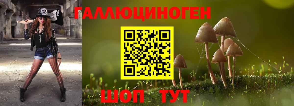 Гурьевск  Псилоцибиновые грибы MAGIC MUSHROOMS  где купить наркотик  Вход с VPN 